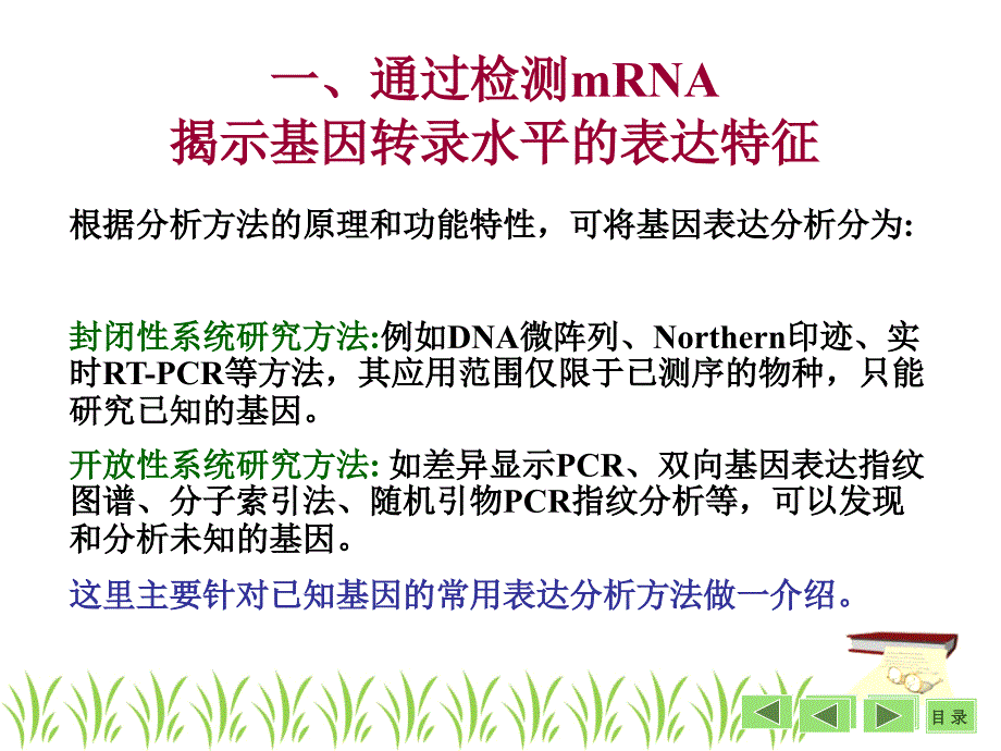 基因表达及功能分析基本策略袁野.ppt_第3页