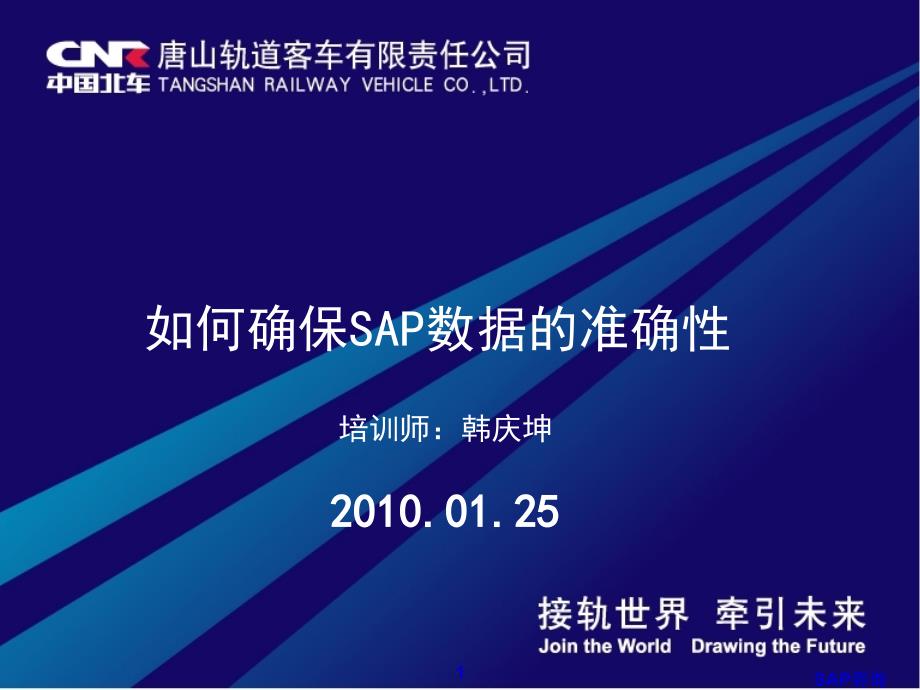 如何确保SAP数据的准确性.ppt_第1页