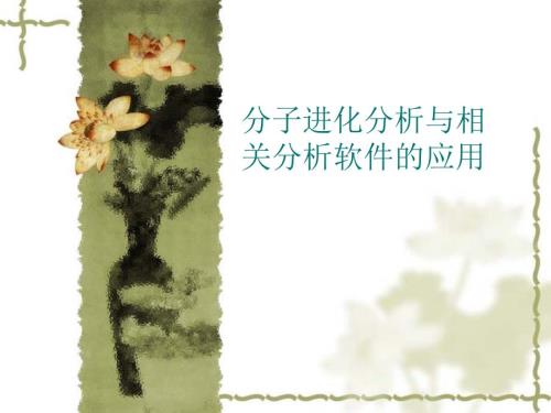 分子进化分析PPT课件.ppt
