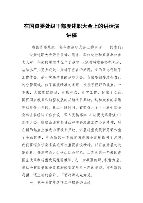在国资委处级干部度述职大会上的讲话演讲稿.docx