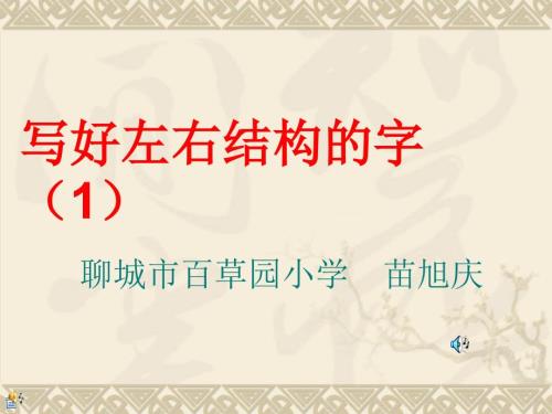 写好左右结构的字.ppt