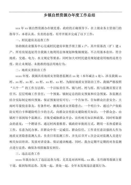乡镇自然资源办工作总结.docx