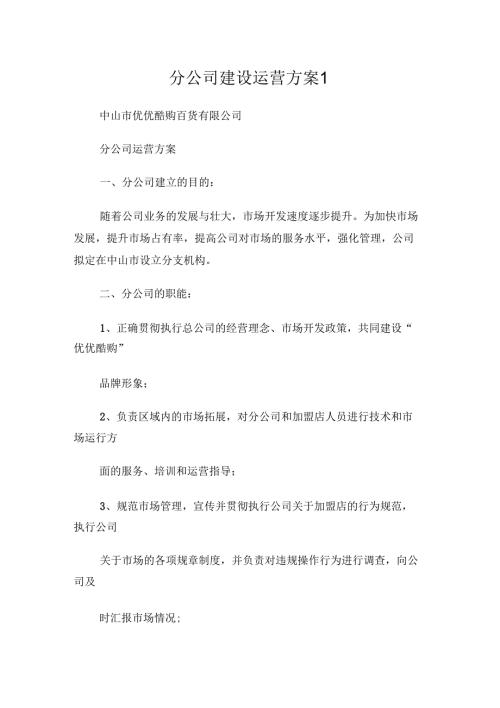 分公司建设运营方案.docx