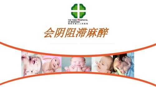 会阴阻滞麻醉.ppt