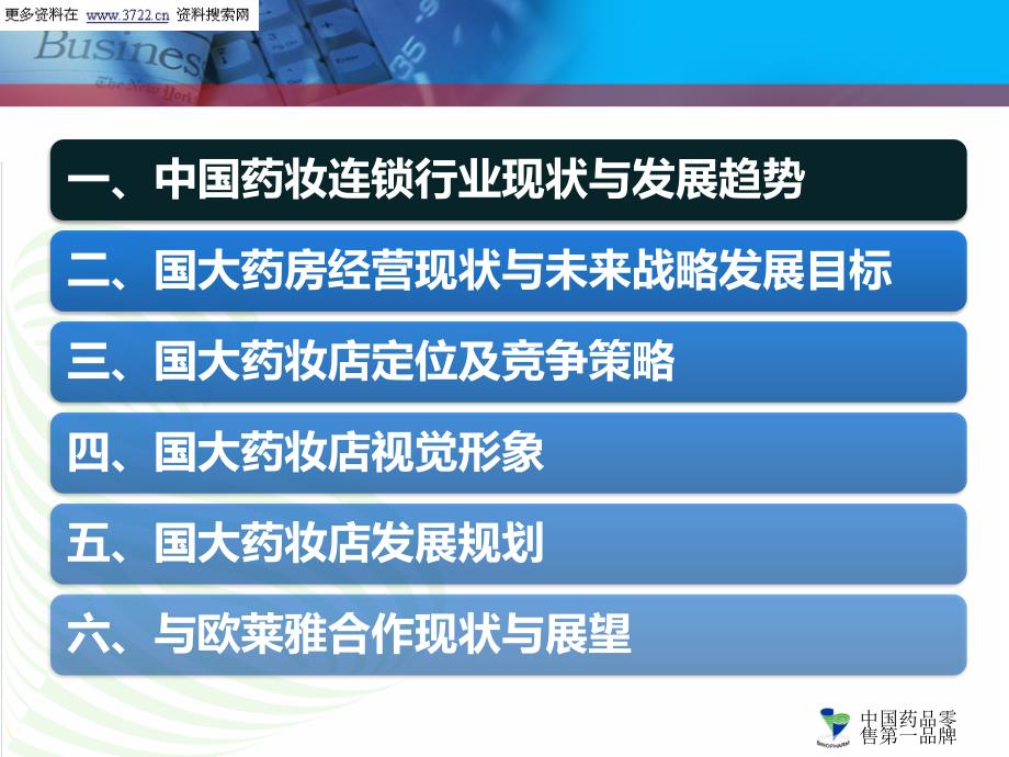 国药控股国大药房有限公司化妆品店战略规划方案PPT45页.ppt_第2页