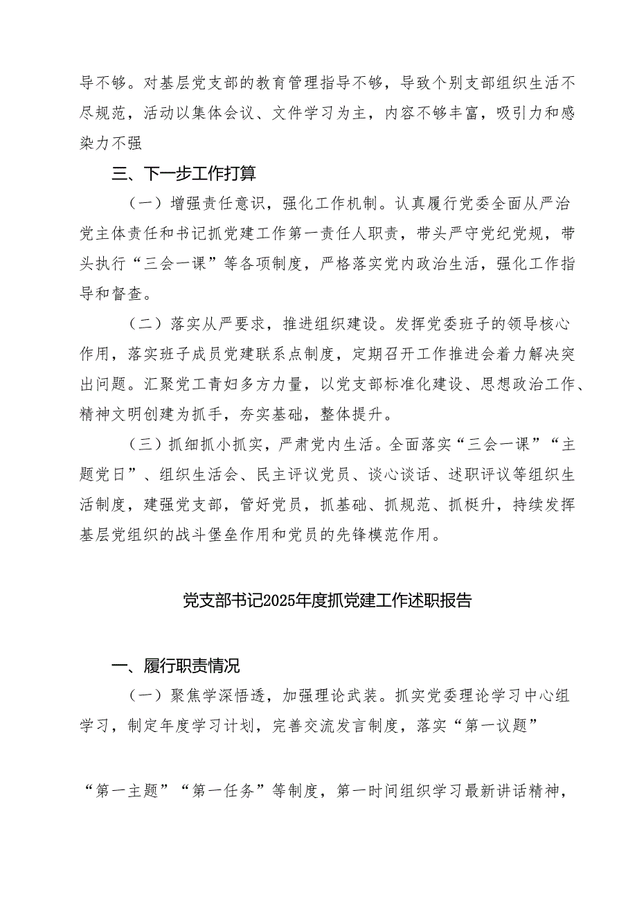 2025年度党支部书记抓党建工作述职报告五篇集合.docx_第3页