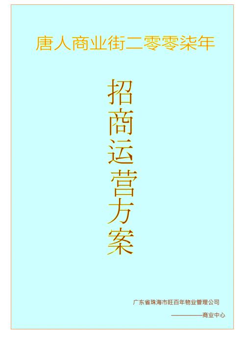 唐人街商业业态调整招商方案.doc