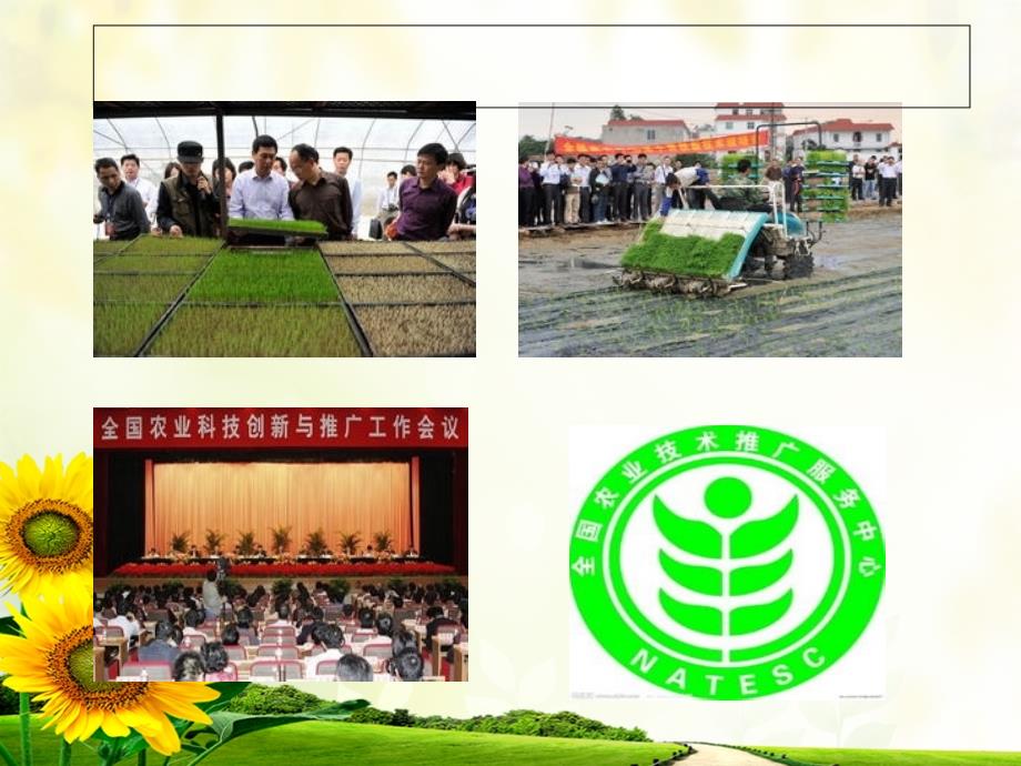农业技术推广体系PPT课件.ppt_第3页