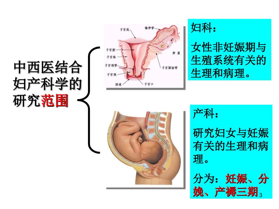 中西医结合妇产科.ppt_第3页