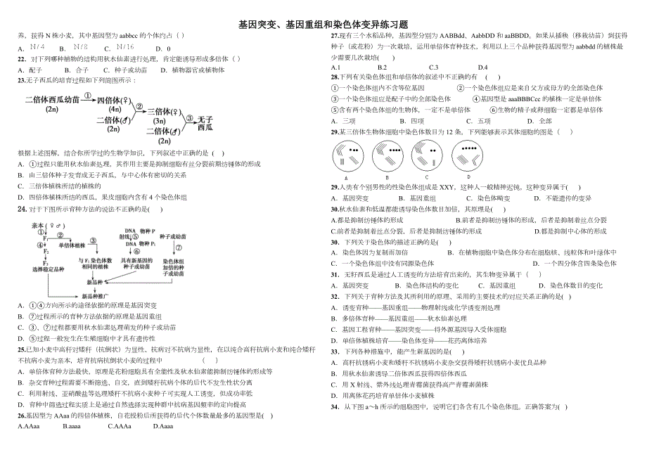 基因突变基因重组和染色体变异练习题.doc_第2页