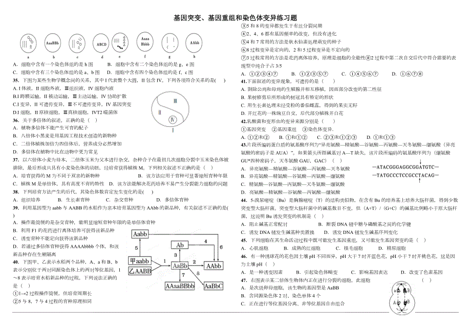 基因突变基因重组和染色体变异练习题.doc_第3页