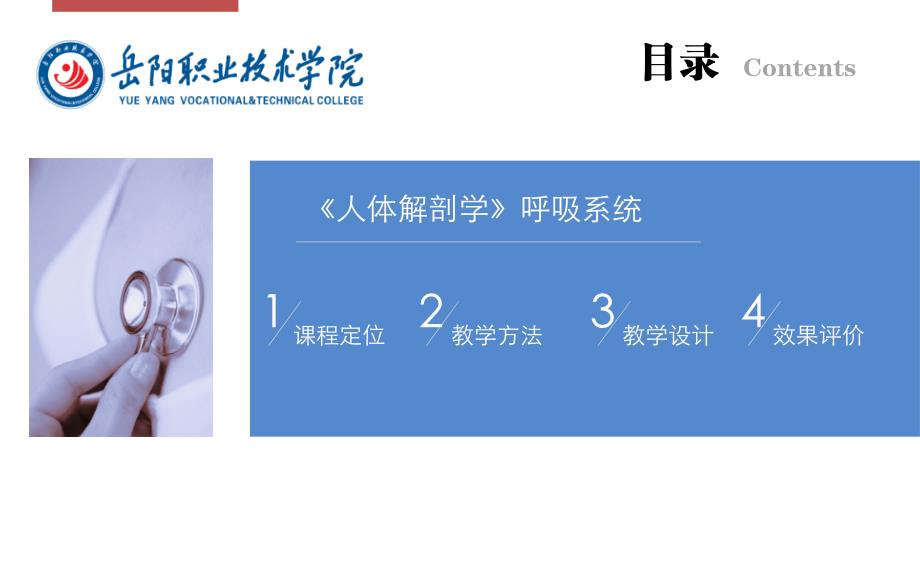 人体解剖学说课.ppt_第2页