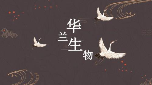 华兰生物财务报表分析.ppt