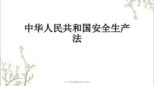 中华人民共和国安全生产法讲PPT课件.pptx