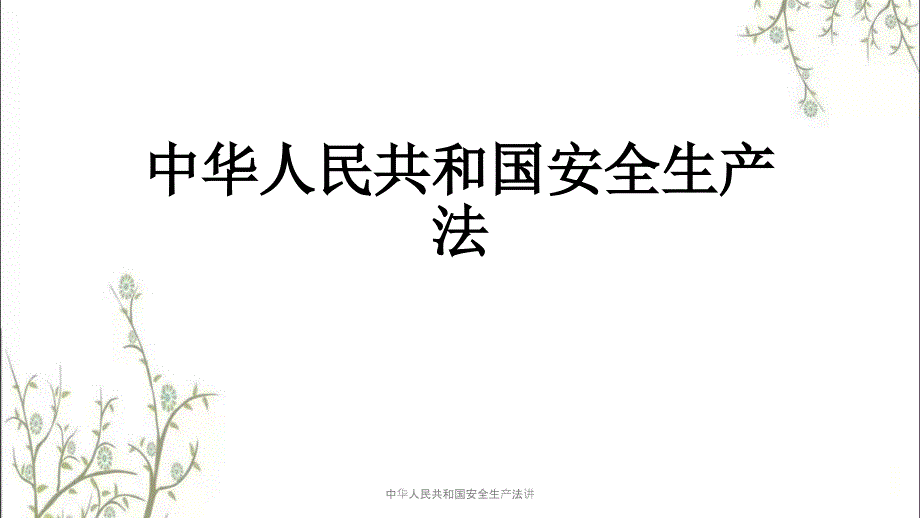中华人民共和国安全生产法讲PPT课件.pptx_第1页