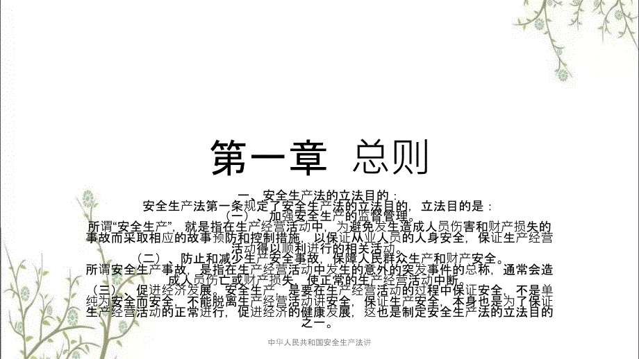 中华人民共和国安全生产法讲PPT课件.pptx_第2页