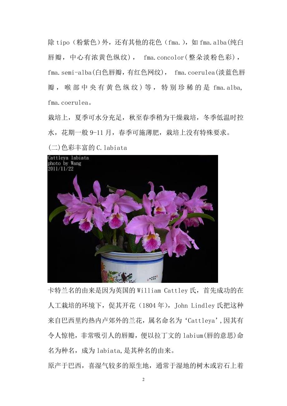 卡特兰原种分析及养殖.doc_第2页