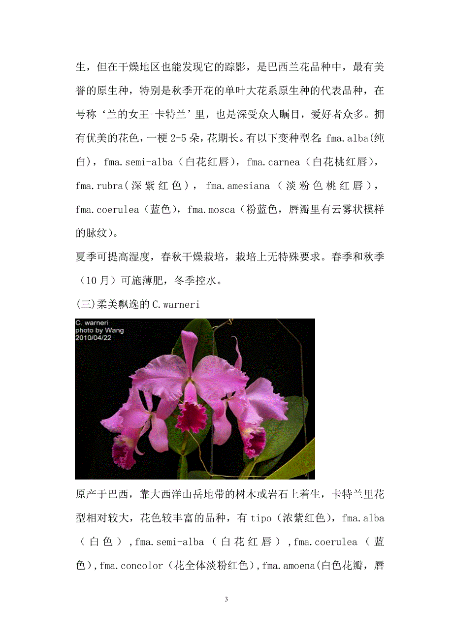 卡特兰原种分析及养殖.doc_第3页