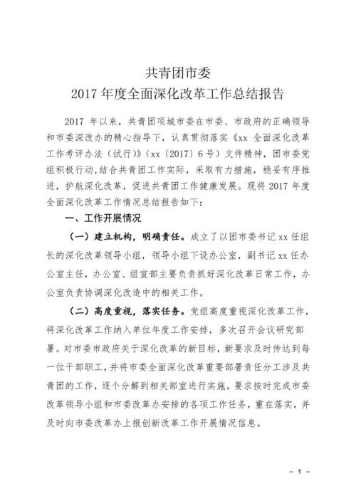 共青团市委度全面深化改革工作总结报告.doc
