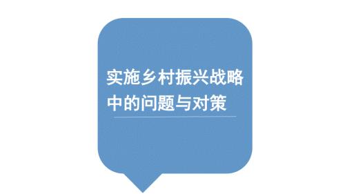 实施乡村振兴战略中的问题与对策.pptx