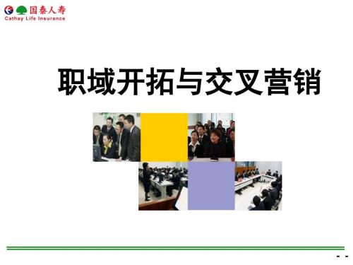 人寿保险公司职域开拓与交叉营销.ppt