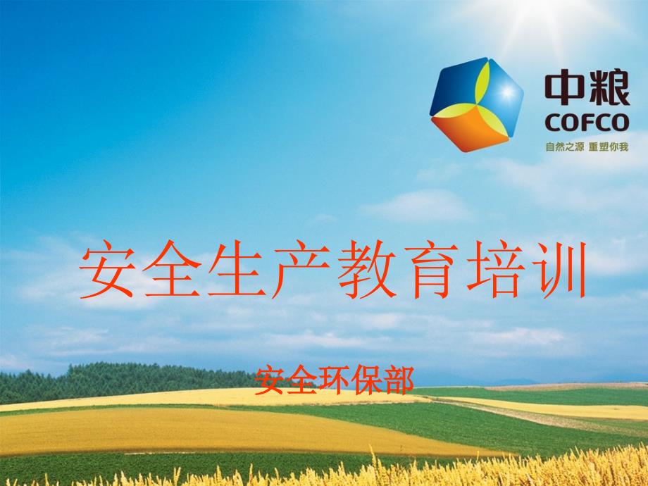 公司级安全培训PPT课件.ppt_第1页