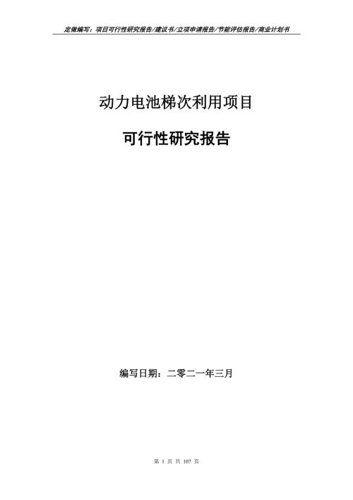 动力电池梯次利用项目可行性研究报告立项申请.doc