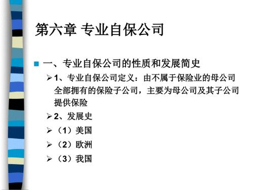专业自保公司PPT课件.ppt