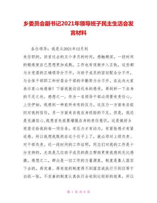 乡委员会副书记2021年领导班子民主生活会发言材料.doc