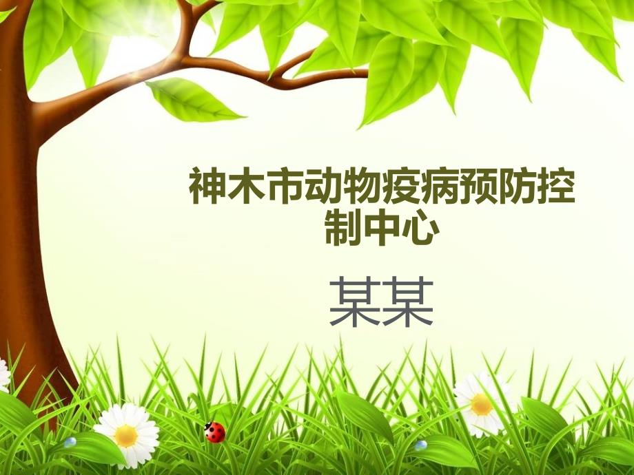 养猪技术培训资料ppt652565.pptx_第1页