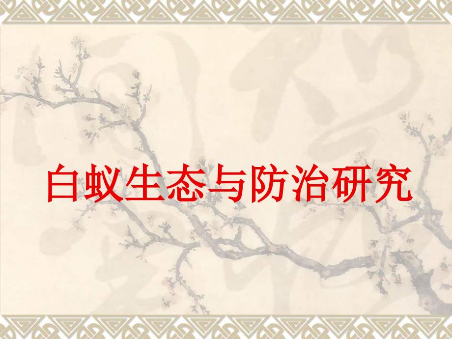 关于白蚁防治的培训ppt课件.ppt_第1页