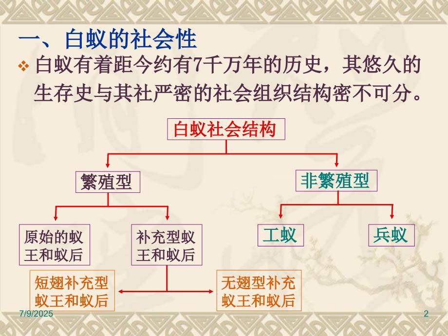 关于白蚁防治的培训ppt课件.ppt_第2页