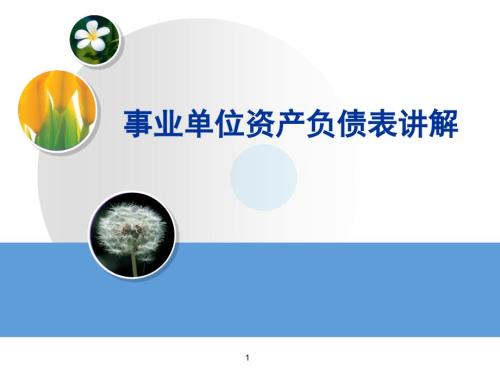 事业单位资产负债表讲解.ppt