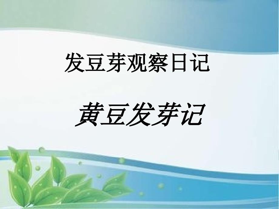 发豆芽观察日记PPT课件.ppt_第1页
