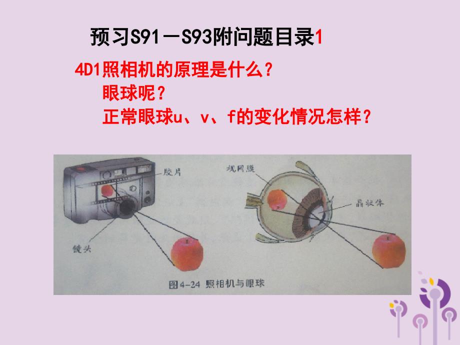 八年级物理上册4.4照相机眼睛和视力矫正课件新版苏科版.ppt_第3页