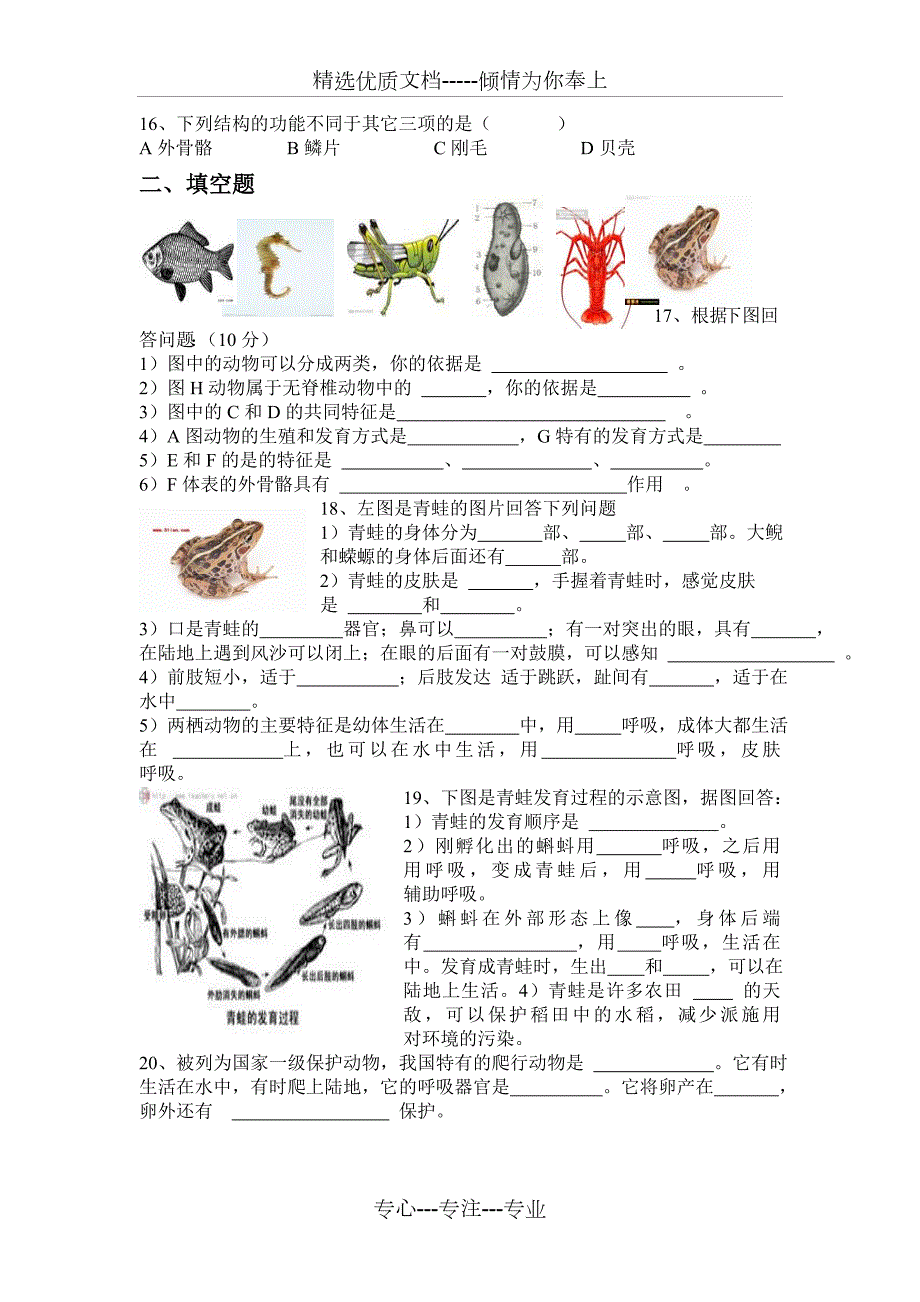 两栖动物和爬行动物的习题共4页.doc_第2页