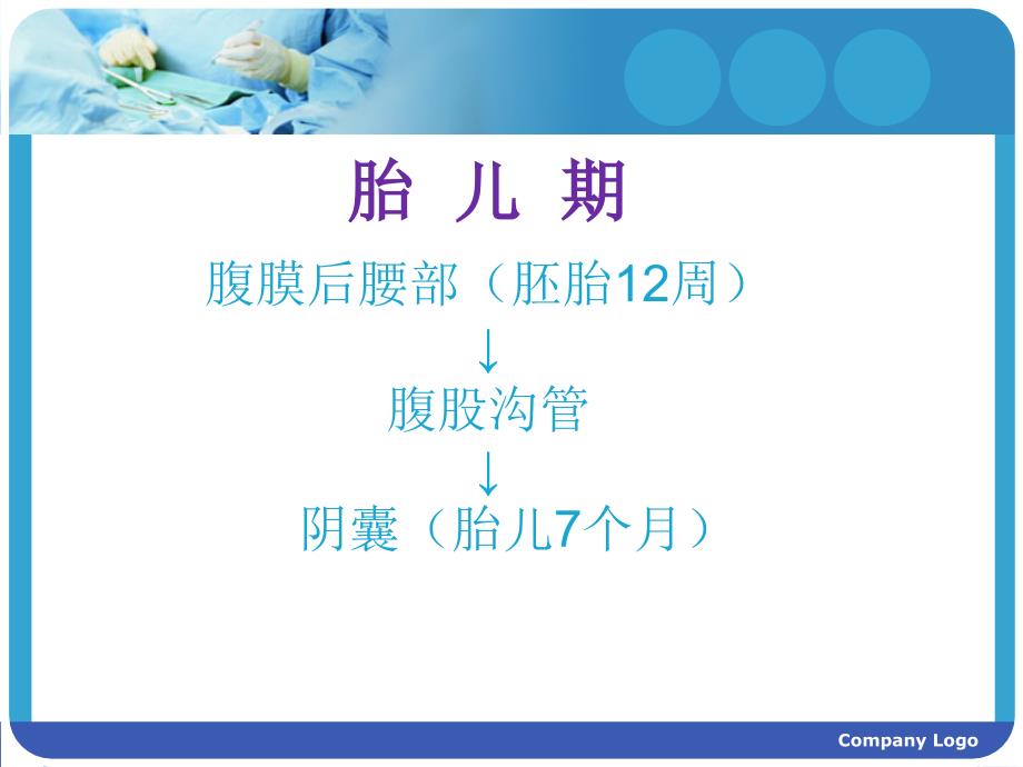 小儿隐睾PPT课件.ppt_第3页