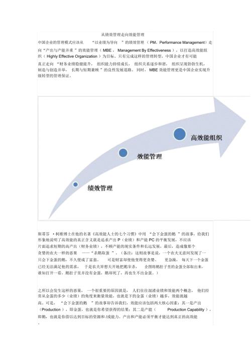 从绩效管理走向效能管理.doc