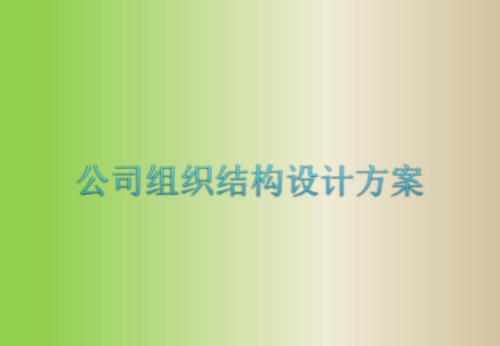 公司组织结构设计方案.ppt