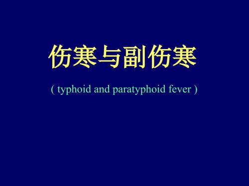 伤寒与副伤寒PPT课件.ppt
