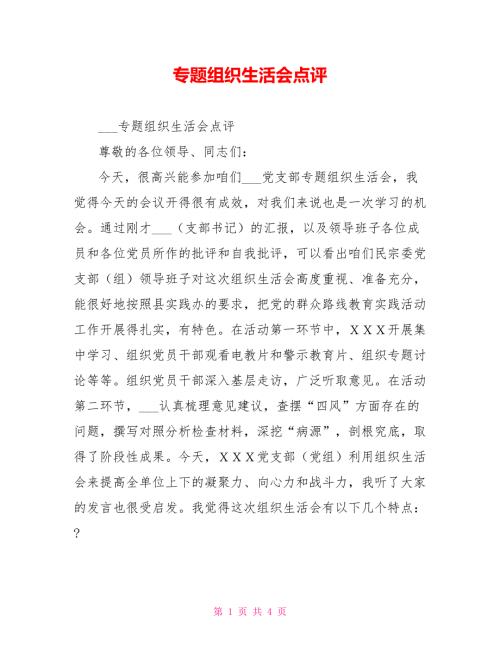 专题组织生活会点评.doc
