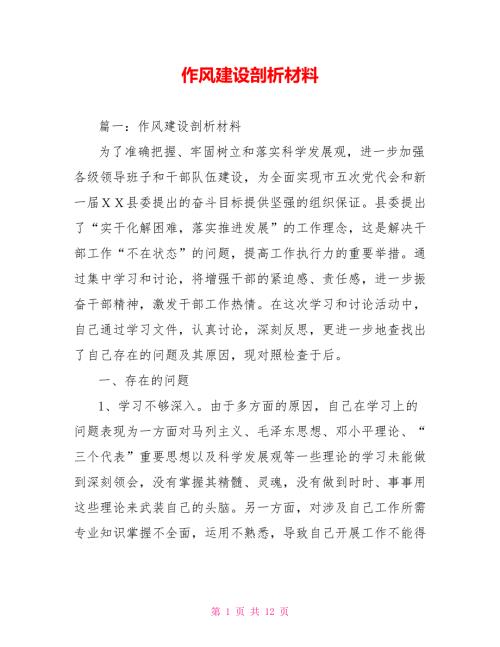 作风建设剖析材料.doc