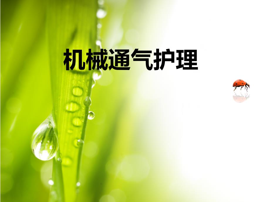 呼吸机的使用PPT课件.ppt_第1页