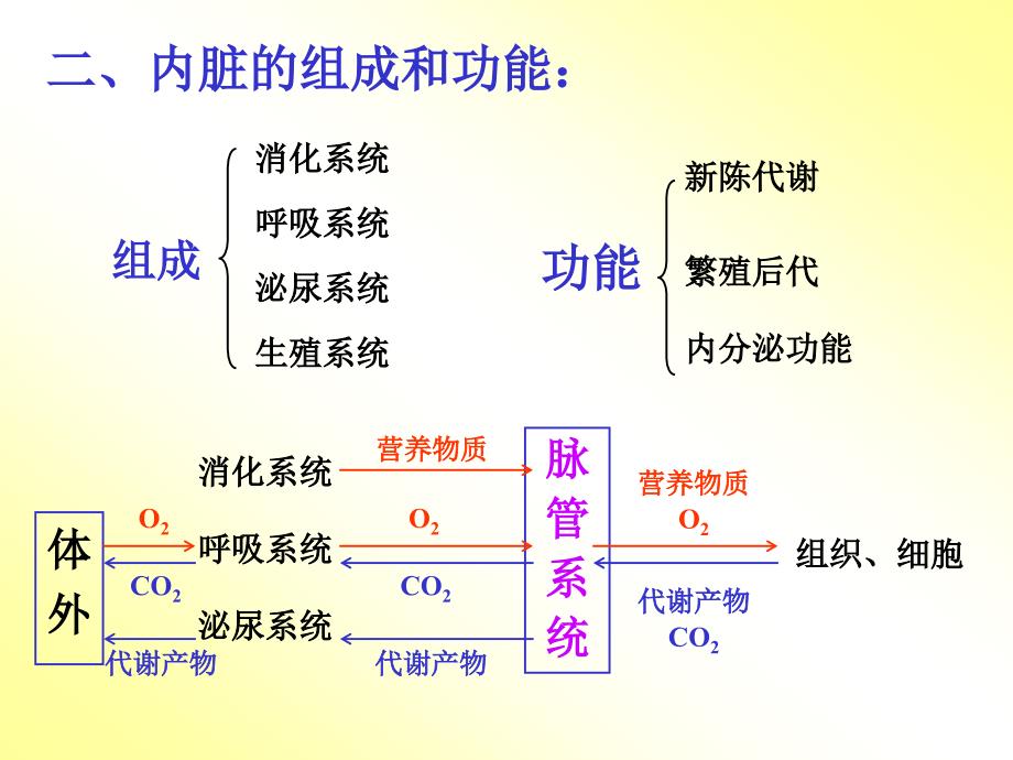 内脏总论课件.ppt_第3页