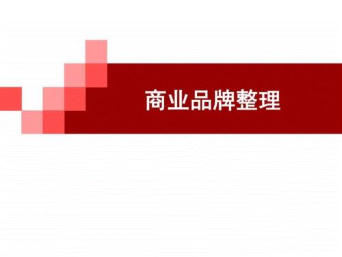 商业品牌整理.ppt.ppt