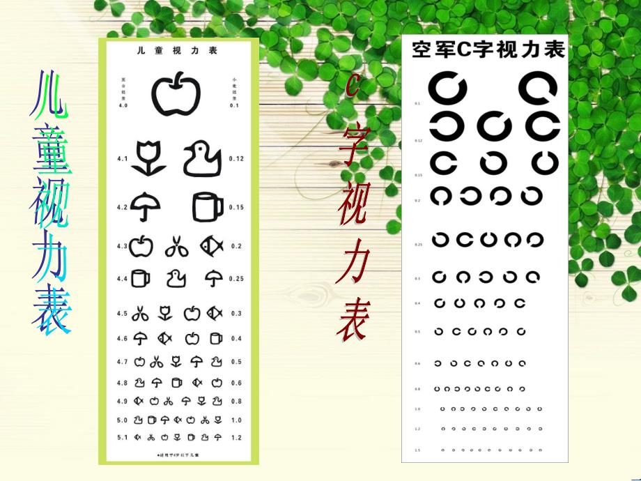 制作视力表课件.ppt_第2页