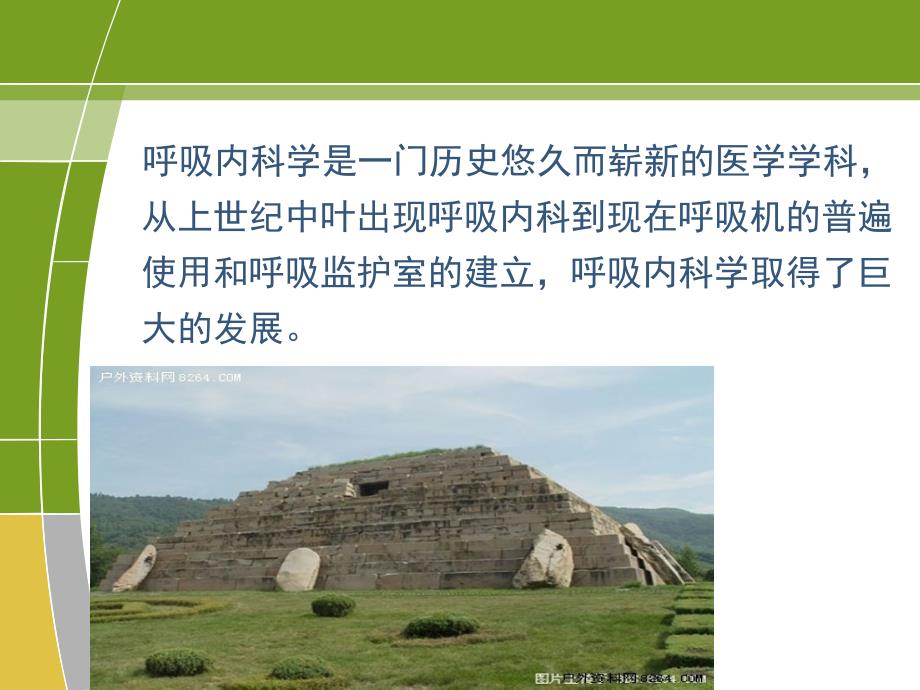 呼吸专科护理发展PPT课件.ppt_第2页