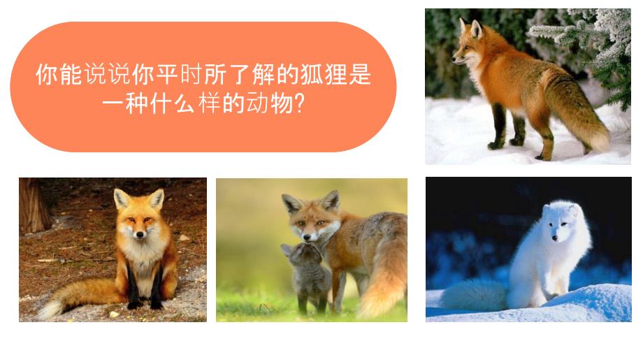 了不起的狐狸爸爸.pptx_第1页