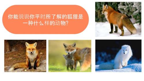 了不起的狐狸爸爸.pptx