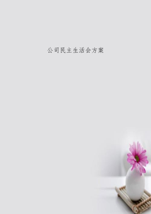 公司民主生活会方案.doc